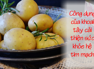 cong-cung-va-cach-dung-khoai-tay